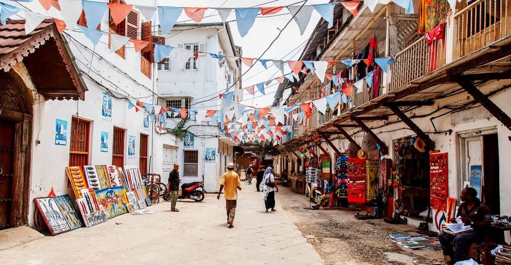 Zanzibar: Jozani Forest with Stone Town Walking Tour | ®ExcursionMania - Image 2