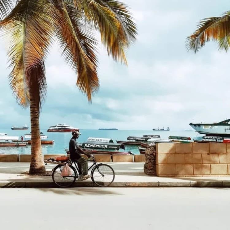 Zanzibar: Evening Stone Town Walking Tour with Night Market | ®ExcursionMania - Image 7