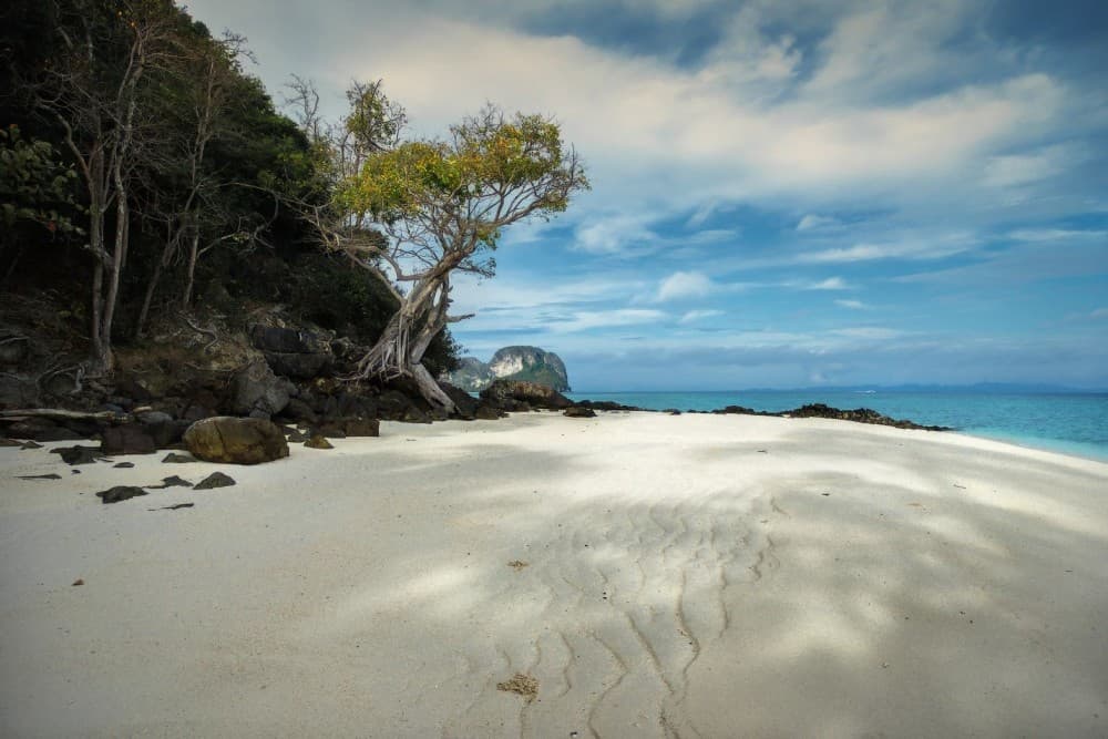 Phuket: Phi Phi, Maya, Khai or Maiton or Bamboo Island Tour | ®ExcursionMania - Image 3