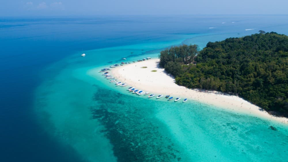 Phuket: Phi Phi, Maya, Khai or Maiton or Bamboo Island Tour | ®ExcursionMania - Image 9