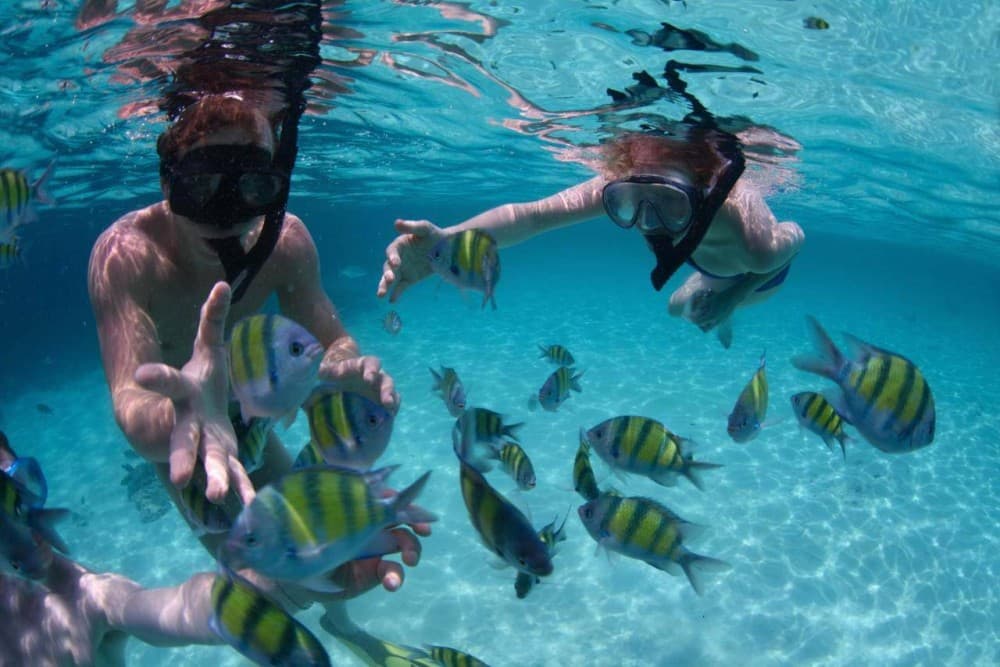 Phuket: 3 Khai Islands Snorkeling Tour | ®ExcursionMania - Image 1