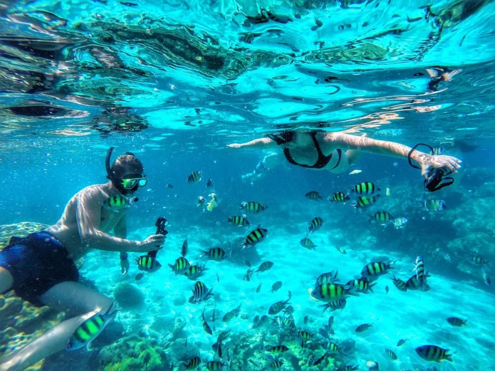 Phuket: 3 Khai Islands Snorkeling Tour | ®ExcursionMania - Image 10
