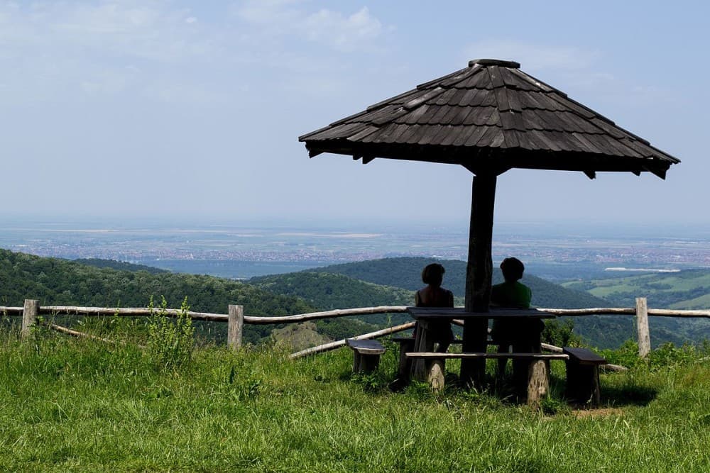 From Belgrade: Novi Sad & Fruska gora & winery and monastery | ®ExcursionMania - Image 12