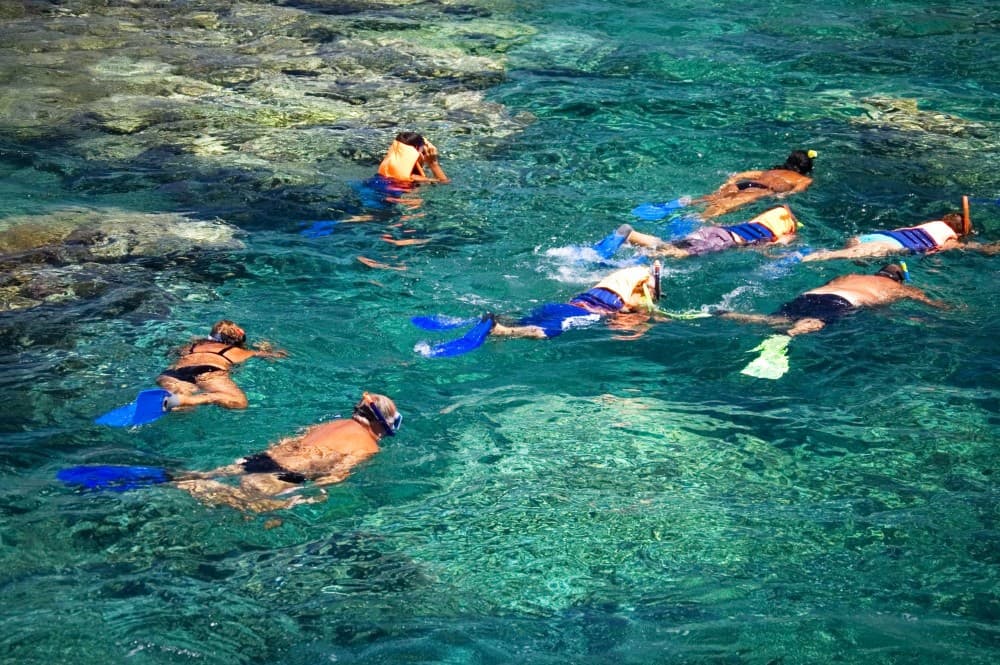 Discover Tumbatu Island: Private Snorkeling Adventure | ®ExcursionMania - Image 4