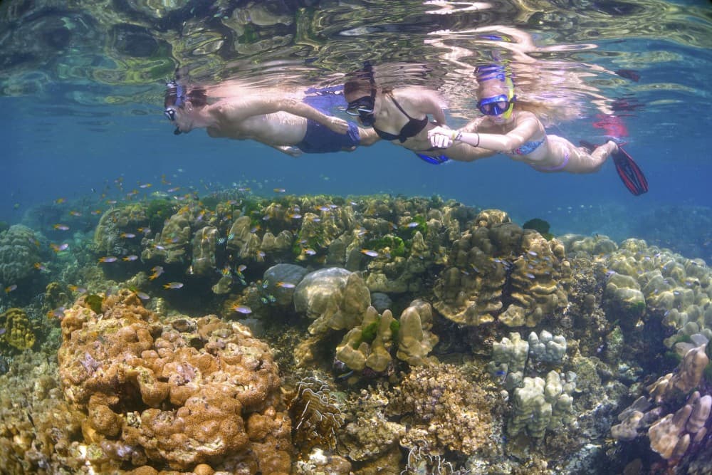 Discover Tumbatu Island: Private Snorkeling Adventure | ®ExcursionMania - Image 6