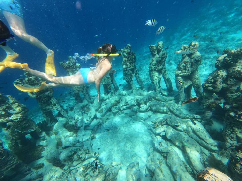 Discover Tumbatu Island: Private Snorkeling Adventure | ®ExcursionMania - Image 7