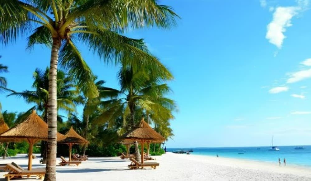 Zanzibar: Discovering paradise A Day Trip at Kendwa Beach | ®ExcursionMania - Image 5