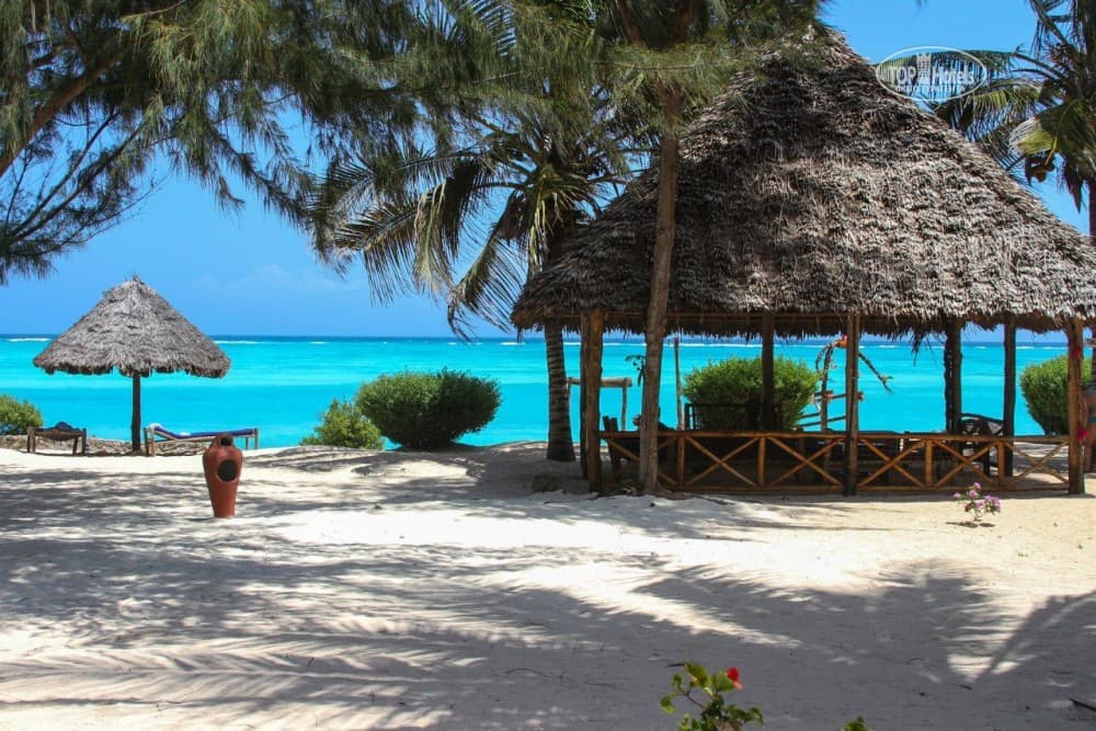 Jet Ski Adventure Zanzibar :Fun at Kendwa/Nungwi Beach | ®ExcursionMania - Image 4