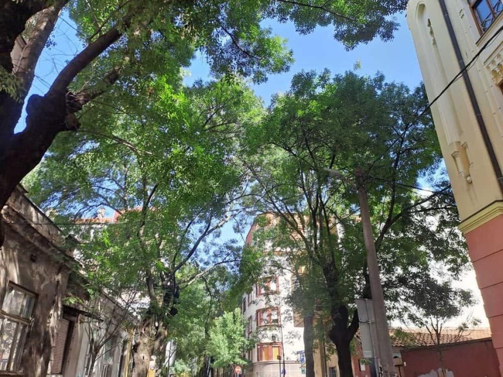 Belgrade: Jewish walking tour | ®ExcursionMania - Image 7