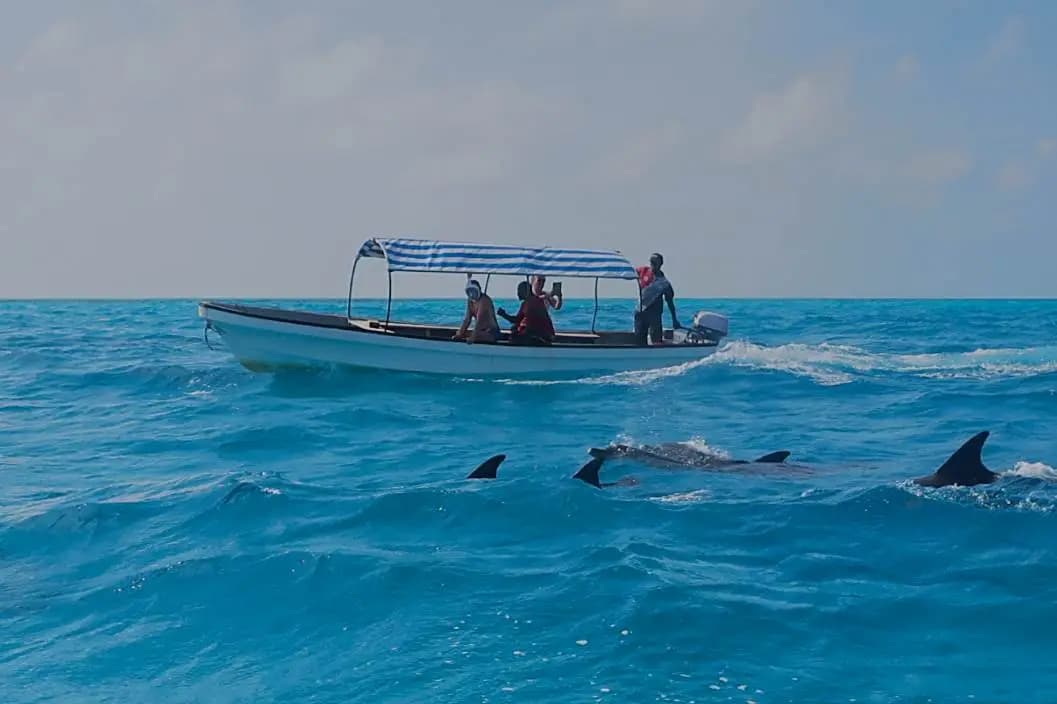 Zanzibar: Mnemba atoll, dolphin & snorkelling tour | ®ExcursionMania - Image 1