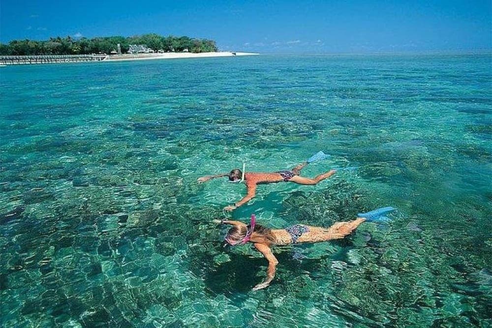 Zanzibar: Mnemba atoll, dolphin & snorkelling tour | ®ExcursionMania - Image 6