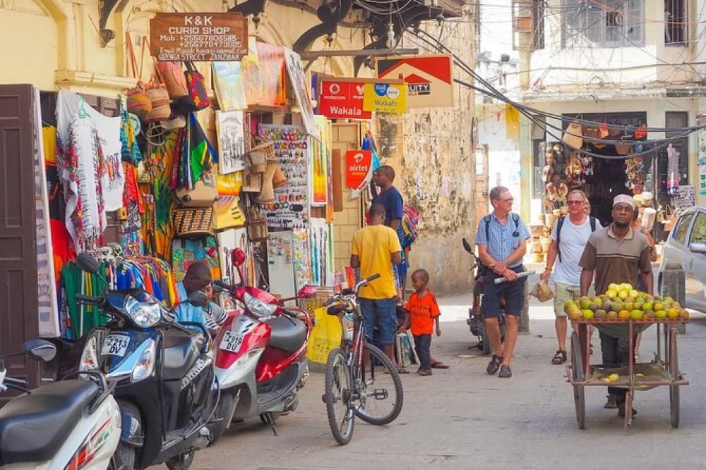 Zanzibar: Stone town Private Walking Tour | ®ExcursionMania - Image 1