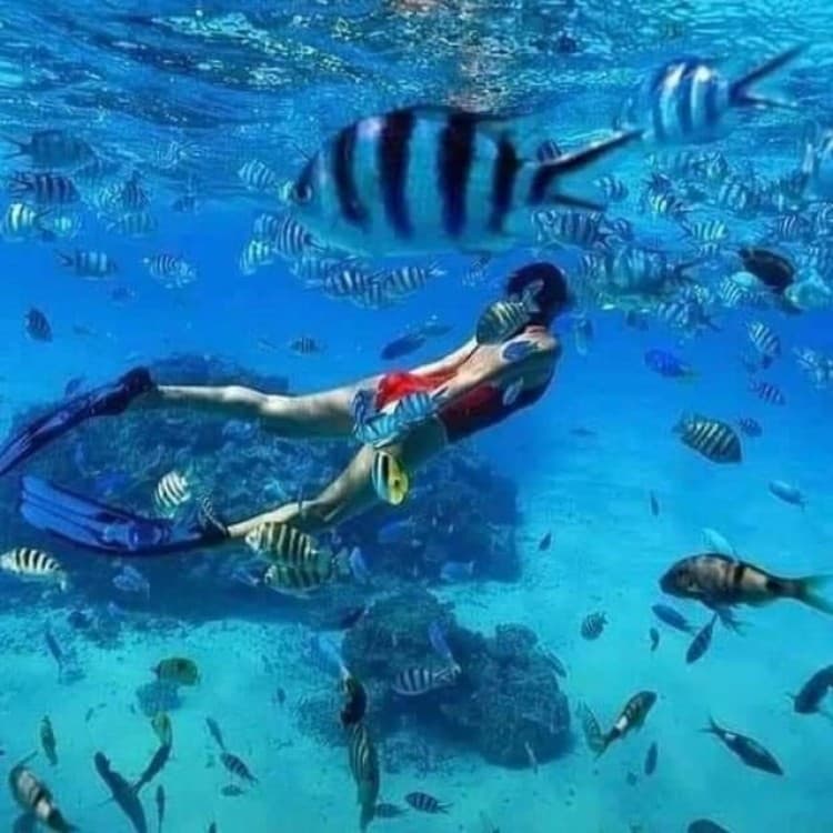 Kuza Cave, Starfish, Blue Lagoon, The Rock, Jozani Forest | ®ExcursionMania - Image 2