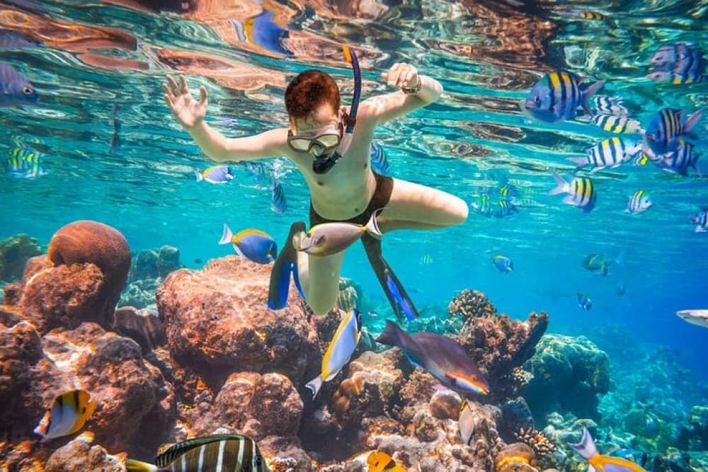 Bali Blue Lagoon Snorkeling with Private Transfer & Lunch | ®ExcursionMania - Image 1