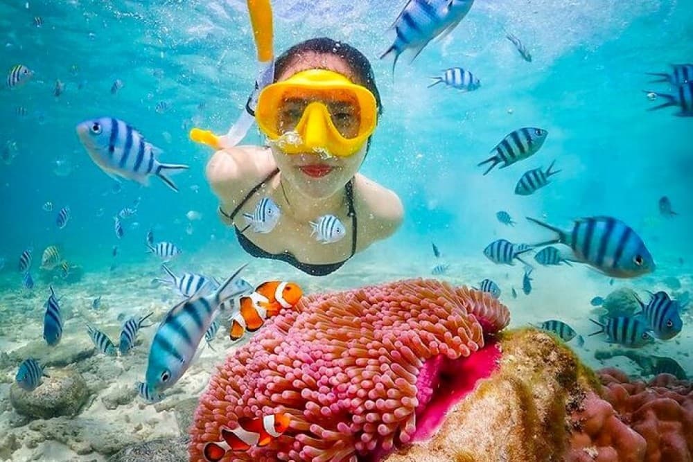Bali Blue Lagoon Snorkeling with Private Transfer & Lunch | ®ExcursionMania - Image 6