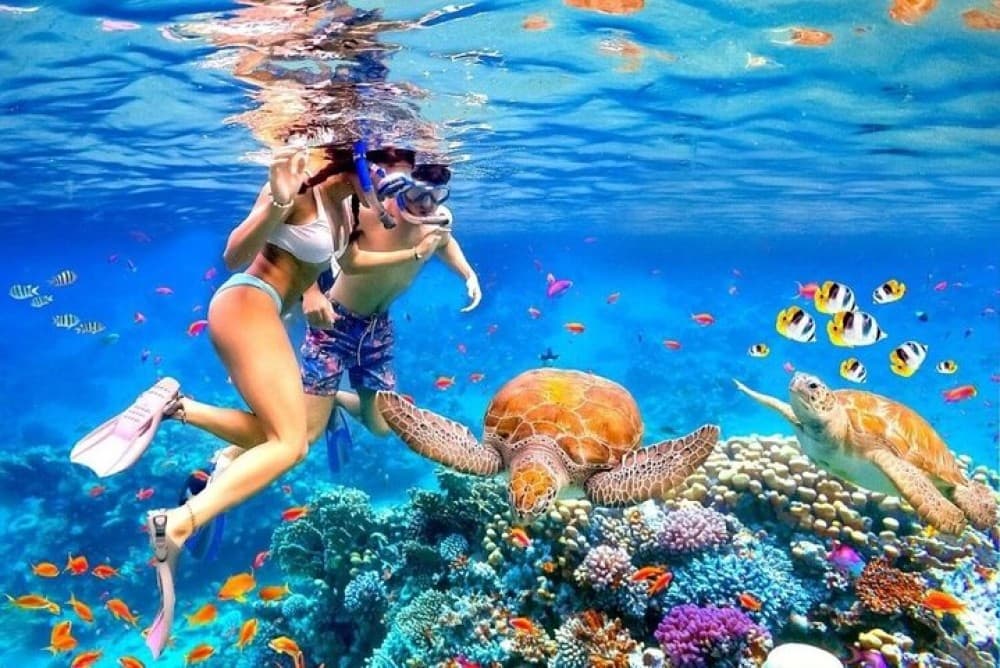 Bali Blue Lagoon Snorkeling with Private Transfer & Lunch | ®ExcursionMania - Image 7