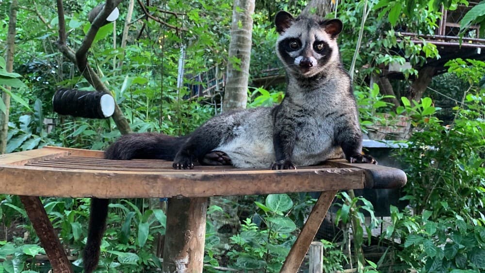 Lempuyang Temple with Bali Blue Lagoon Snorkeling : All Inclusive | ®ExcursionMania - Image 3