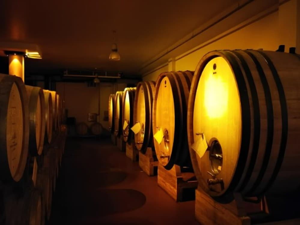 From Belgrade: Subotica and Palic Full-Day Trip with winery | ®ExcursionMania - Image 3