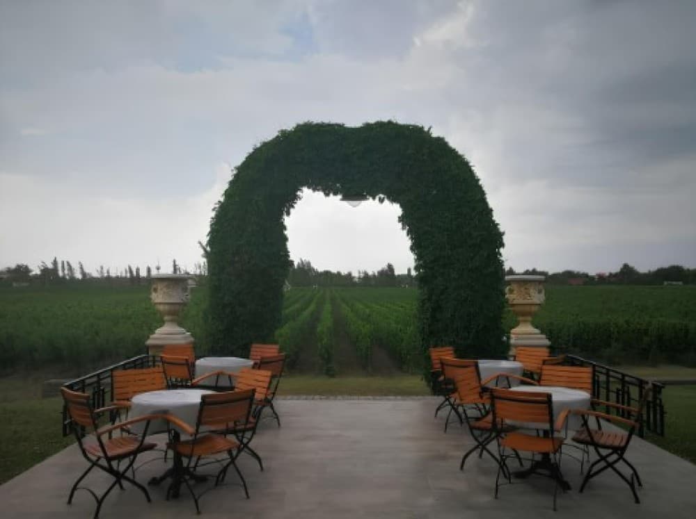 From Belgrade: Subotica and Palic Full-Day Trip with winery | ®ExcursionMania - Image 7