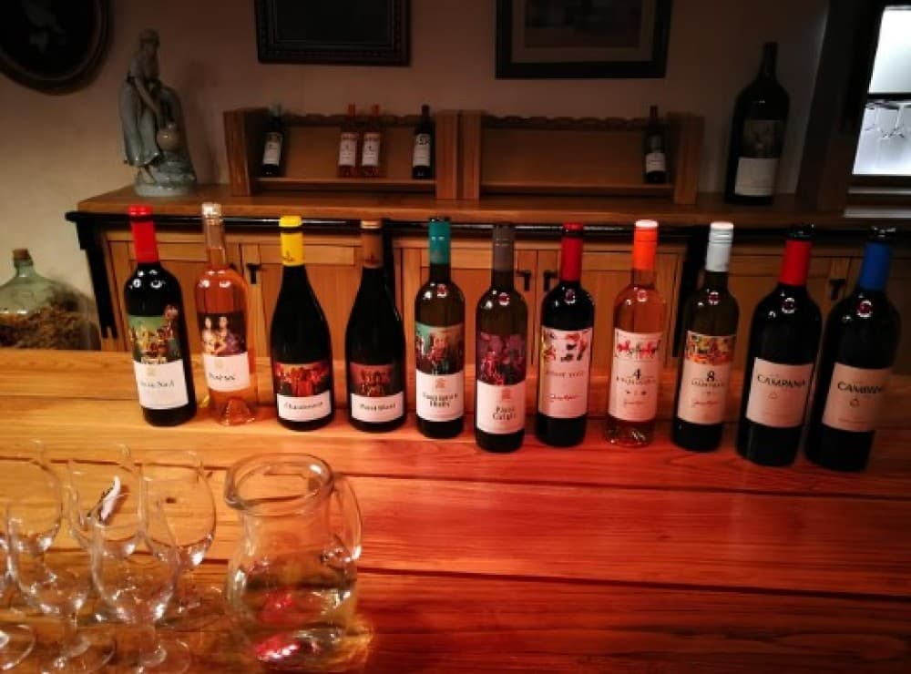 From Belgrade: Subotica and Palic Full-Day Trip with winery | ®ExcursionMania - Image 9