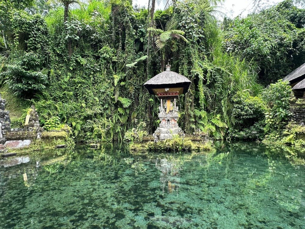 Ubud - All Inclusive Private Day Tour | ®ExcursionMania - Image 1