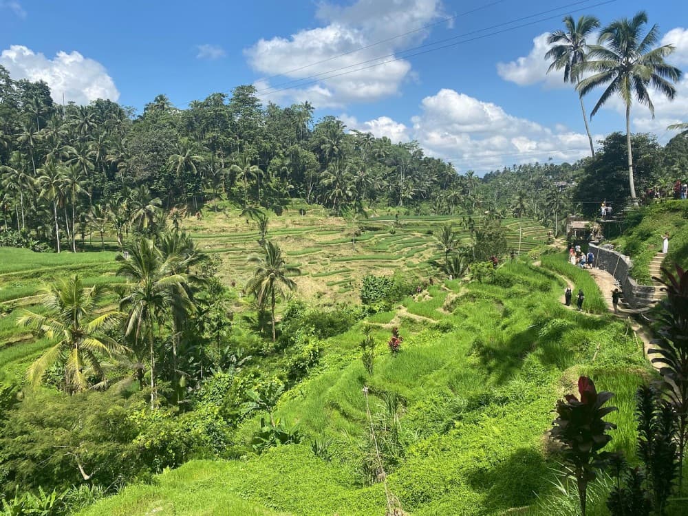 Ubud - All Inclusive Private Day Tour | ®ExcursionMania - Image 2