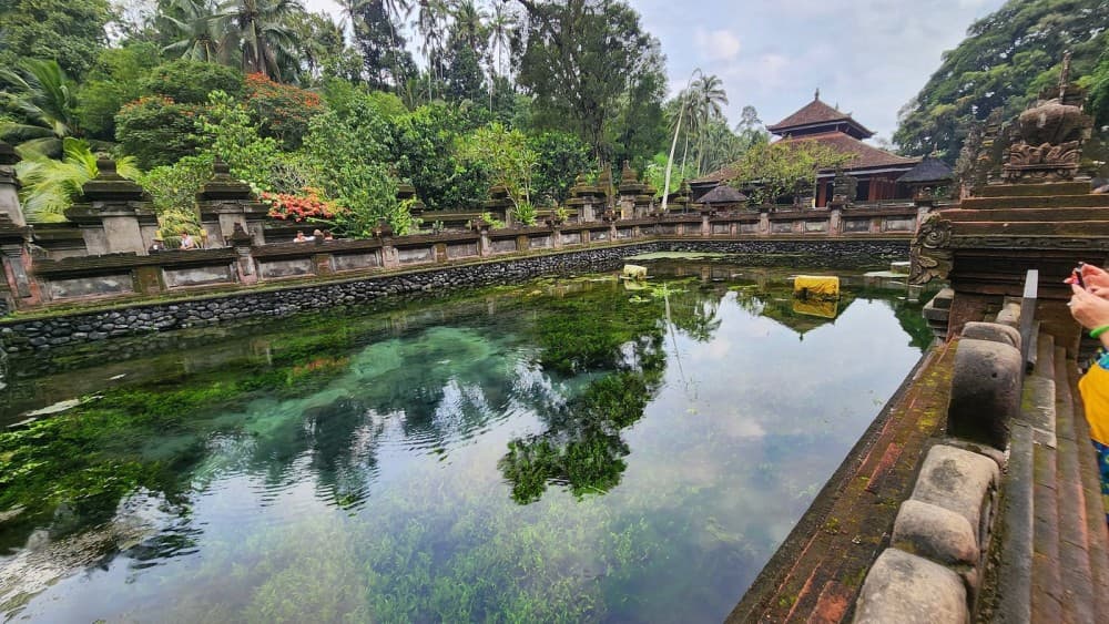 Ubud - All Inclusive Private Day Tour | ®ExcursionMania - Image 4