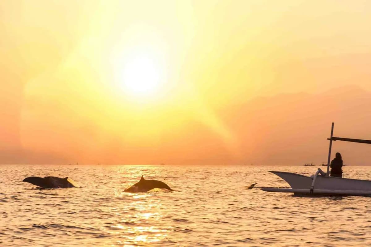 Bali: Lovina Sunset Tour With Snorkeling Experience | ®ExcursionMania - Image 1