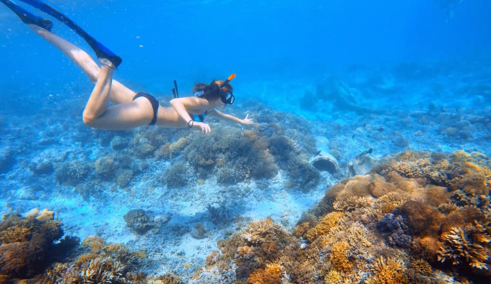 Bali: Lovina Sunset Tour With Snorkeling Experience | ®ExcursionMania - Image 7