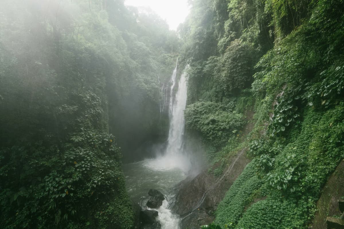 North Bali: All Inclusive Guided Aling Waterfall Canyoning | ®ExcursionMania - Image 10