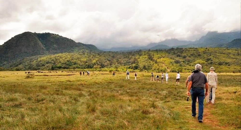 Arusha Guided Walking City Tour Culture, lifestyle & history | ®ExcursionMania - Image 9