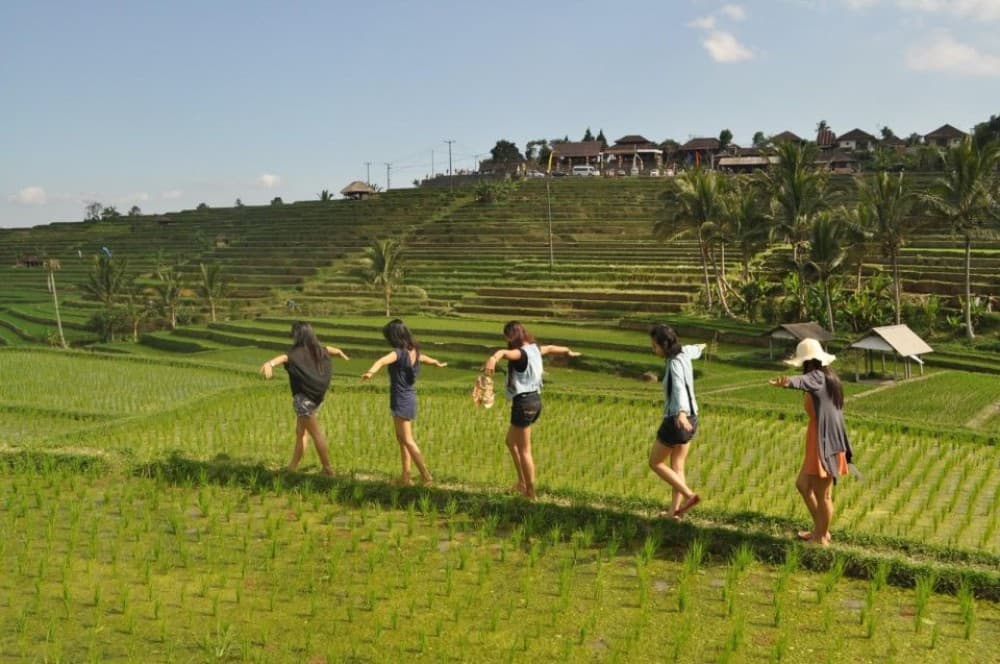 Bali: Explore North Bali Customized Private Day Tour | ®ExcursionMania - Image 2