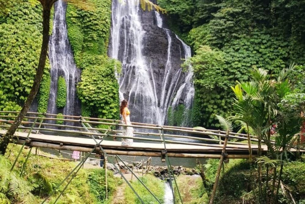 Bali: Explore North Bali Customized Private Day Tour | ®ExcursionMania - Image 3