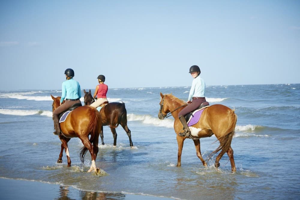 The Rock Restaurant, Jozani Forest, Horseback Riding Tour | ®ExcursionMania - Image 3