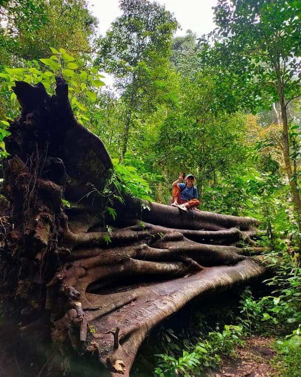 Munduk: Twin Lake Jungle Hike, Ulun Danu Temple, & Waterfall | ®ExcursionMania - Image 5