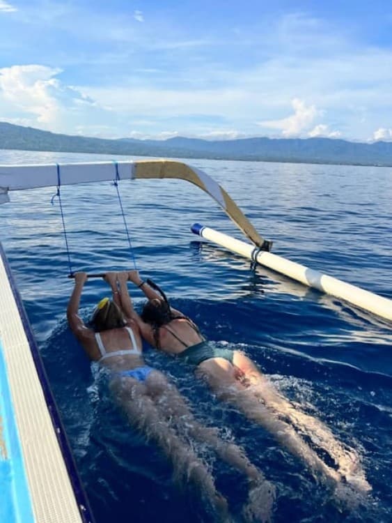 North Bali: Dolphin, Ulun Danu Temple, & Banyumala Waterfall | ®ExcursionMania - Image 2