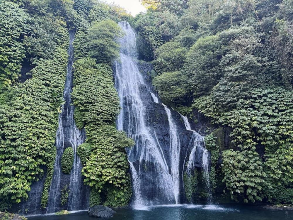 Bali: Dolphin Swimming Tour with ATV Quad Bike & Waterfall | ®ExcursionMania - Image 5