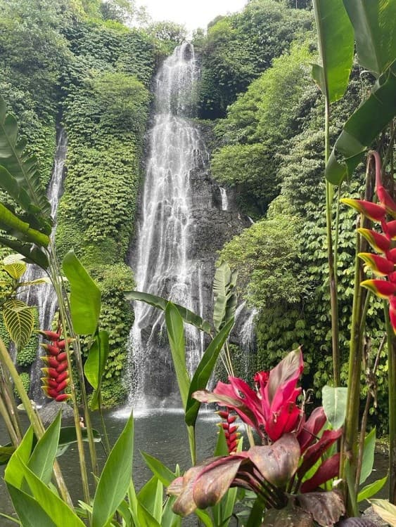 Best Bali Day Trip: Bratan Temple, Hidden Waterfall, Handara Gate | ®ExcursionMania - Image 6
