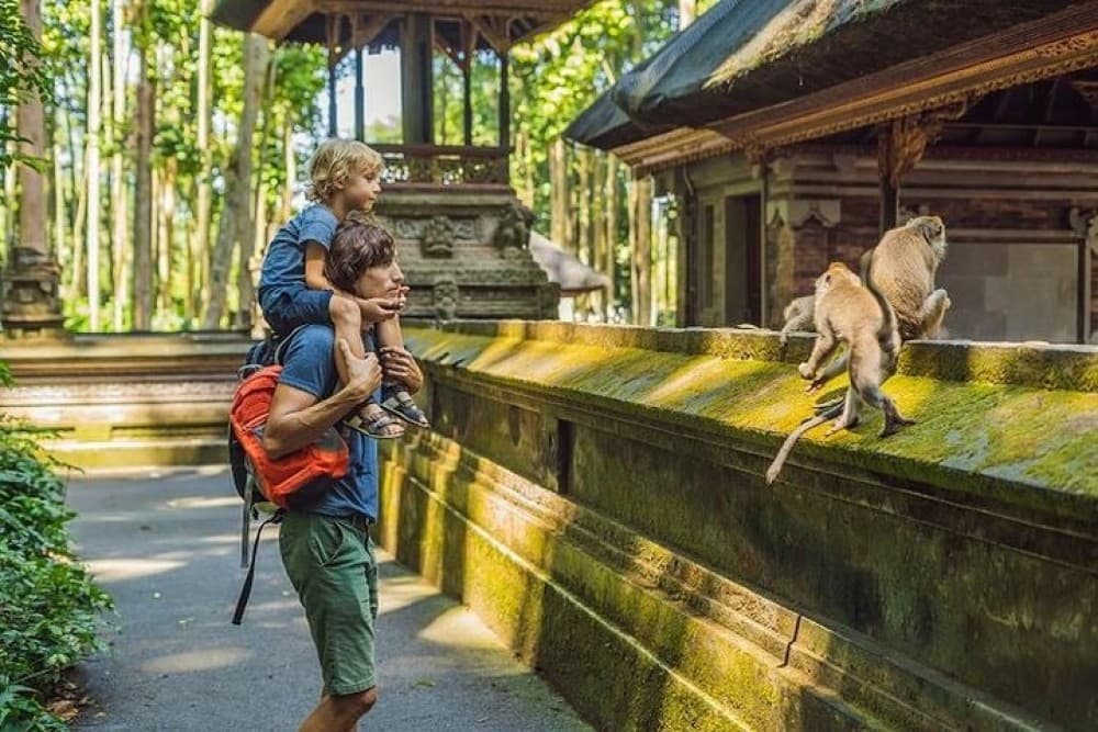 All-Inclusive Private Ubud and Tanah Lot Temple Tour | ®ExcursionMania - Image 1
