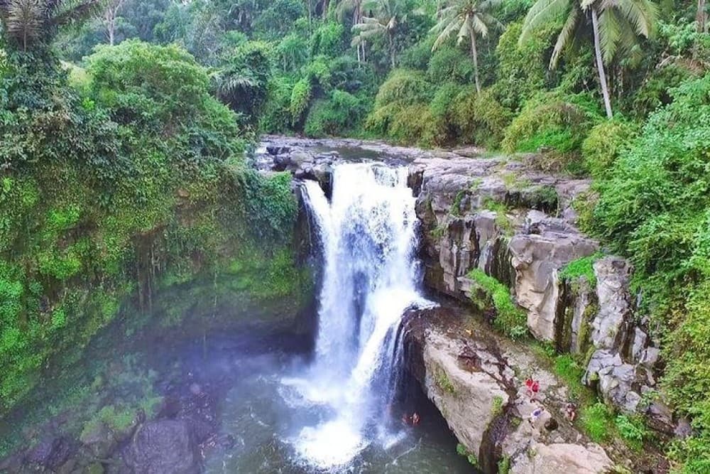 All-Inclusive Private Ubud and Tanah Lot Temple Tour | ®ExcursionMania - Image 5