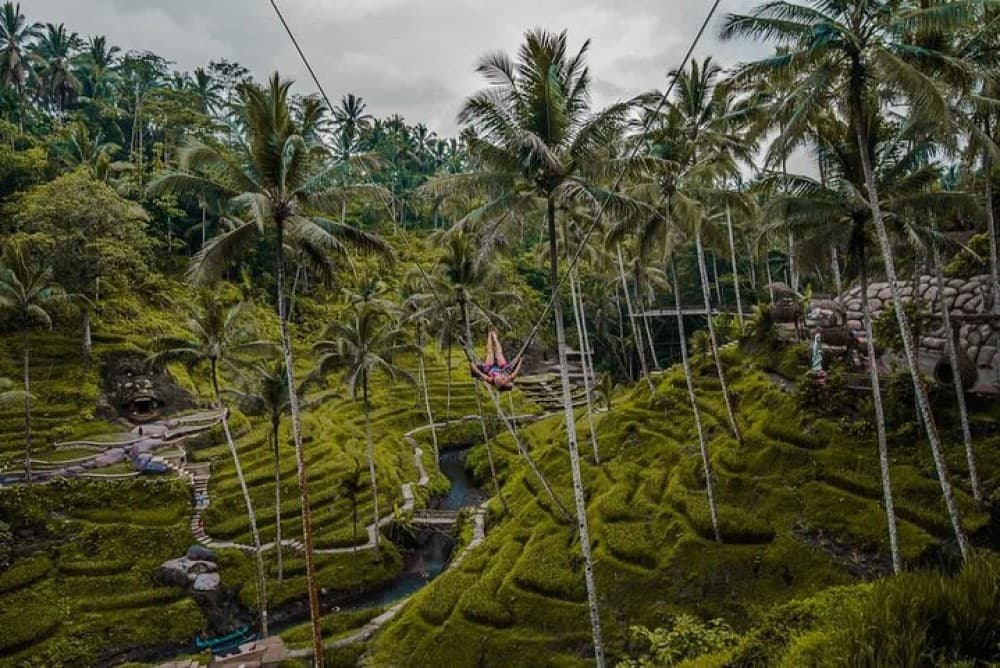 All-Inclusive Private Ubud and Tanah Lot Temple Tour | ®ExcursionMania - Image 12