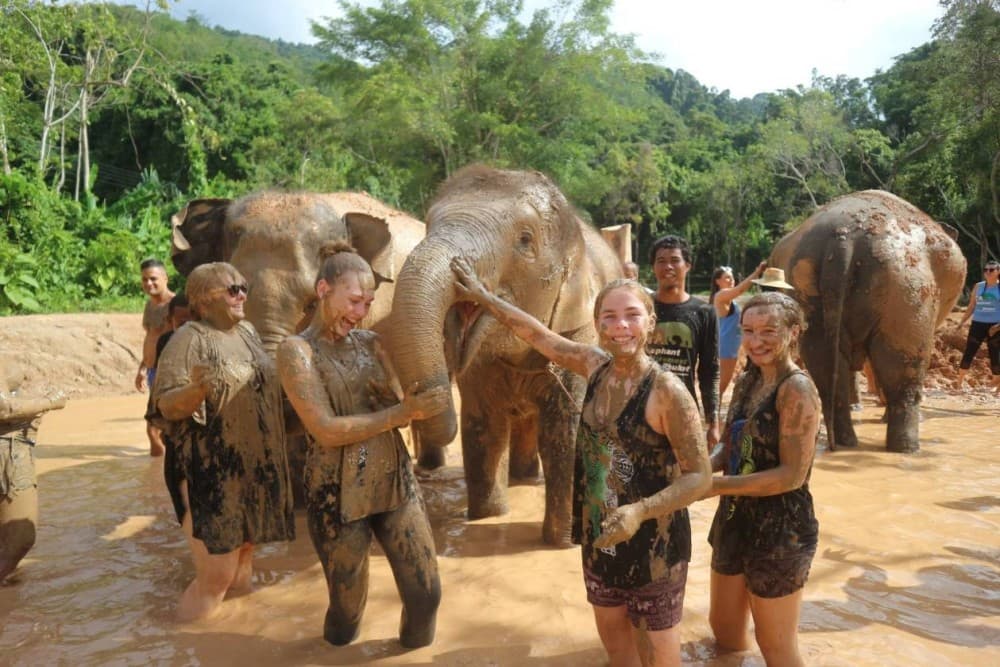Phuket: Phuket Elephant Care Sanctuary ECO Tour | ®ExcursionMania - Image 1