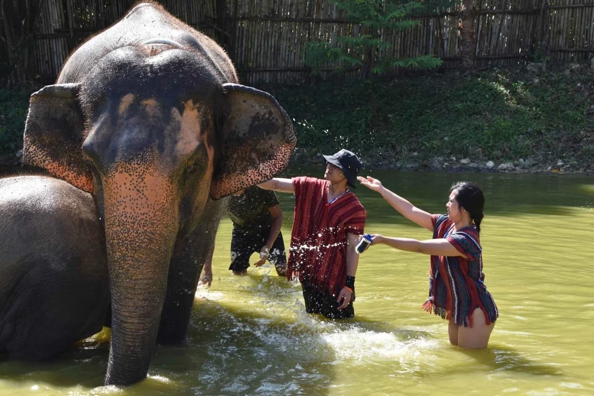 Phuket: Phuket Elephant Care Sanctuary ECO Tour | ®ExcursionMania - Image 7
