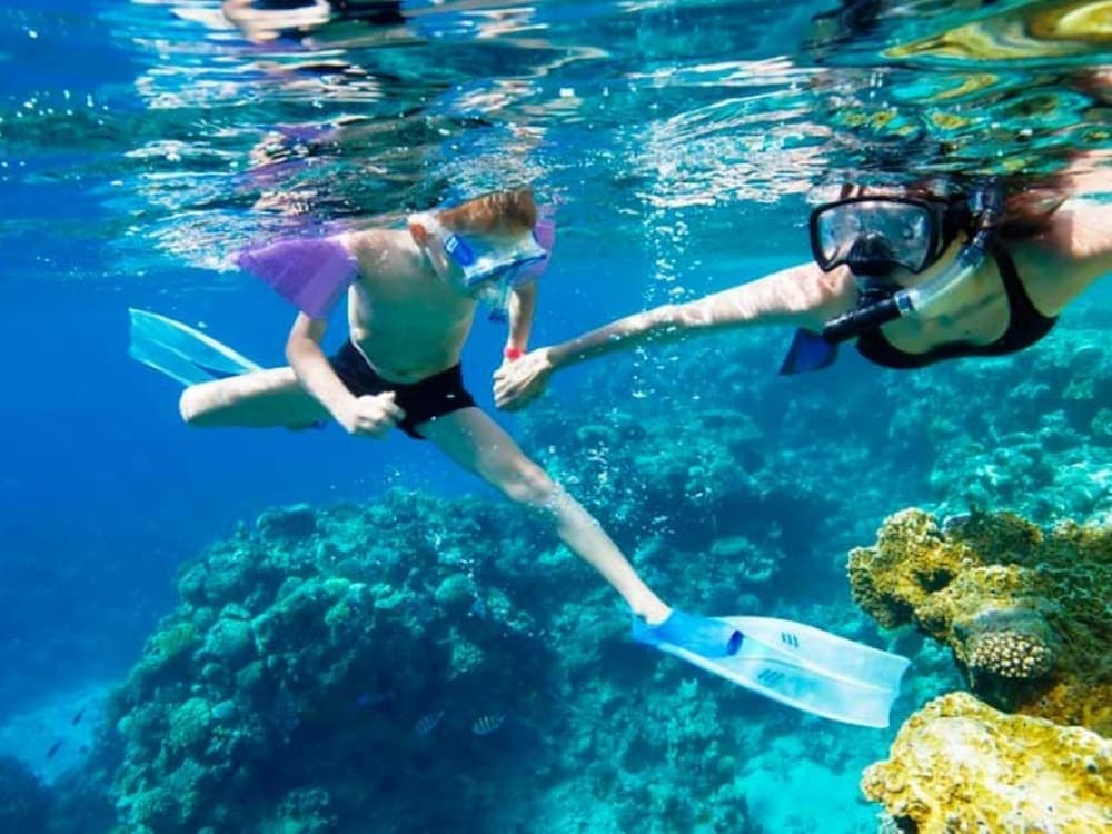 Icmeler Snorkeling Tour With Free Lunch & Hotel Transfer | ®ExcursionMania - Image 2