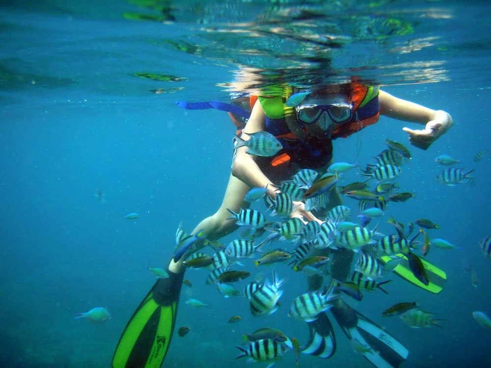 Icmeler Snorkeling Tour With Free Lunch & Hotel Transfer | ®ExcursionMania - Image 3