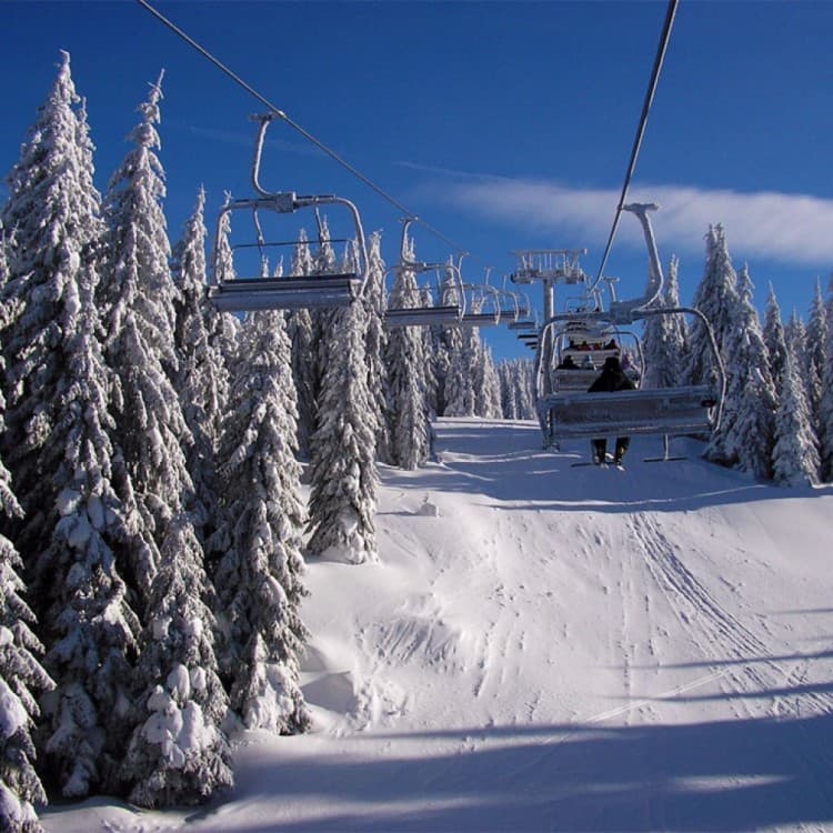 From Belgrade: Kopaonik national park & Ski resort-full day | ®ExcursionMania - Image 6
