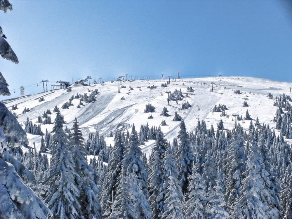 From Belgrade: Kopaonik national park & Ski resort-full day | ®ExcursionMania - Image 3
