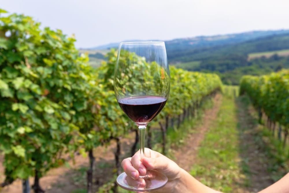 From Roma: Montepulciano and Montalcino, on the Wine Routes | ®ExcursionMania - Image 5