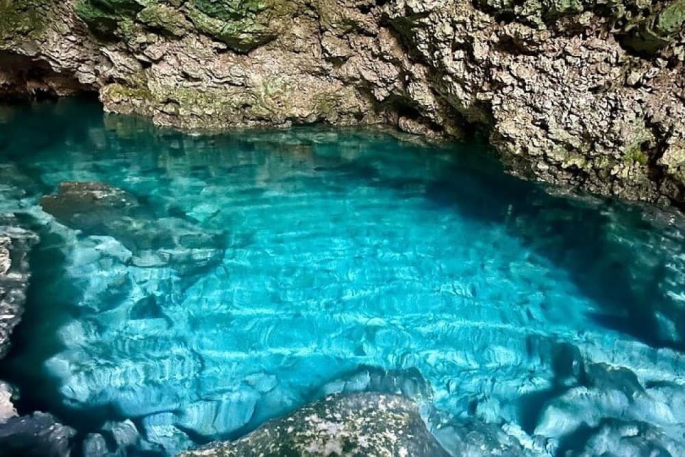 Blue Lagoon, Starfish Tour, The Rock, Paje Beach, Jozani | ®ExcursionMania - Image 3