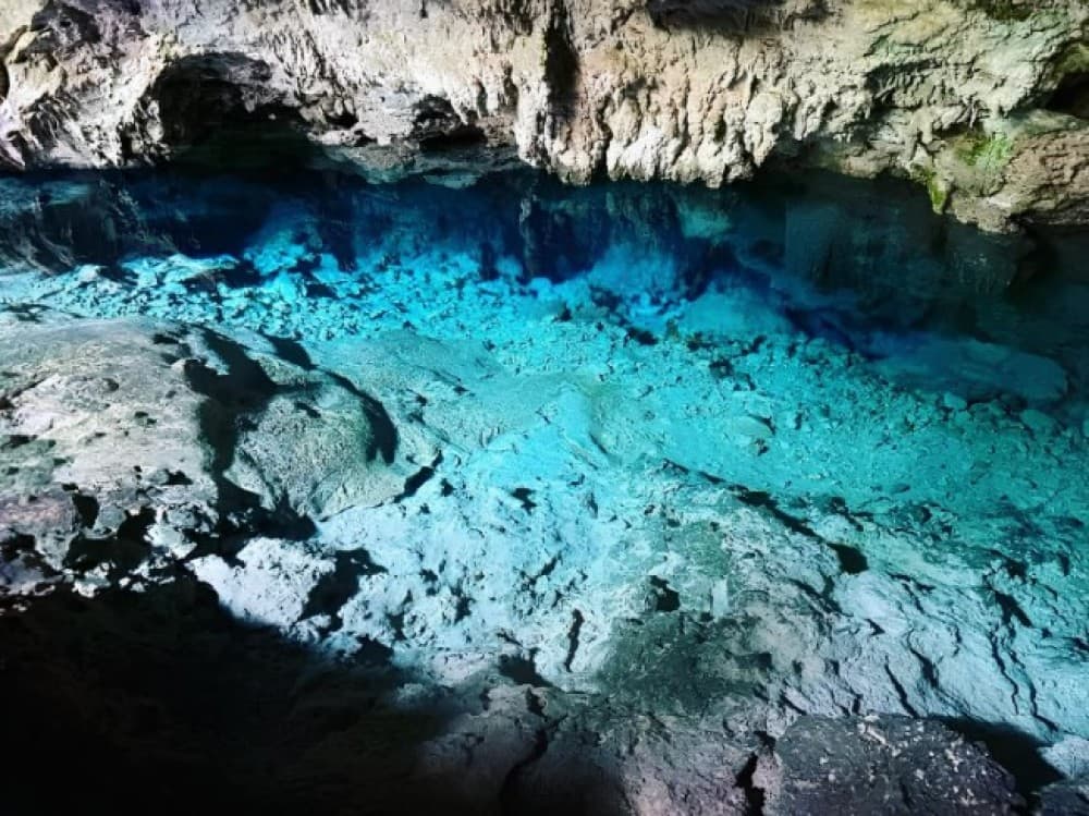 Zanzibar: Jozani Forest, Kuza Cave & Blue Lagoon | ®ExcursionMania - Image 8